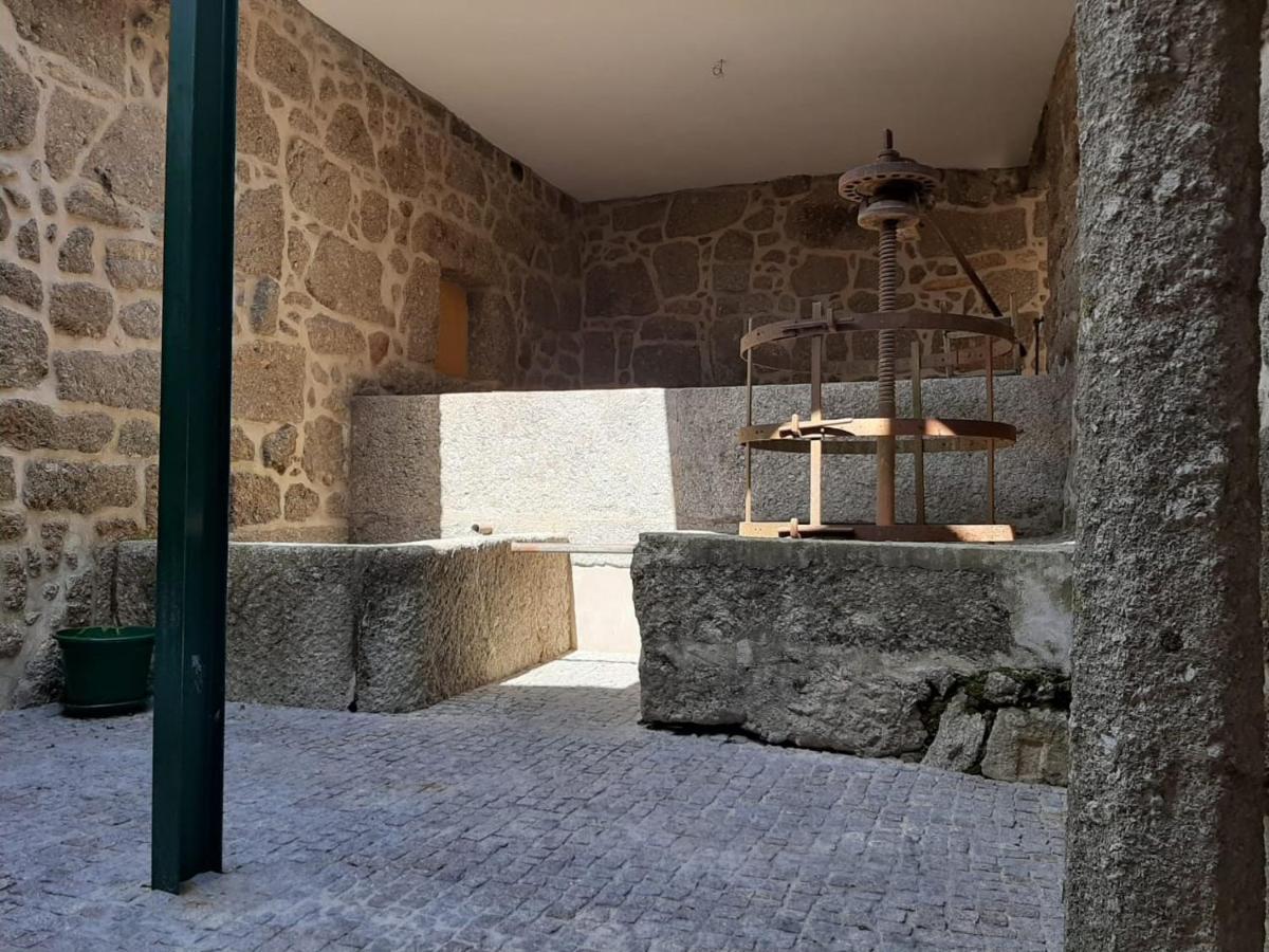 Beautiful House And Garden At Serra Da Estrela, Perfect For Groups And Families غويفيا المظهر الخارجي الصورة